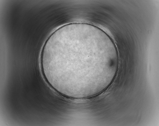 X0000088481440200706121523