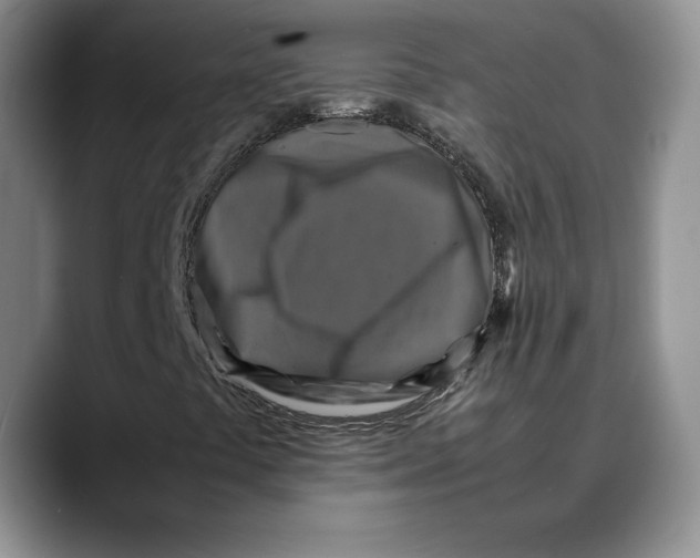 X0000088481441200706121522