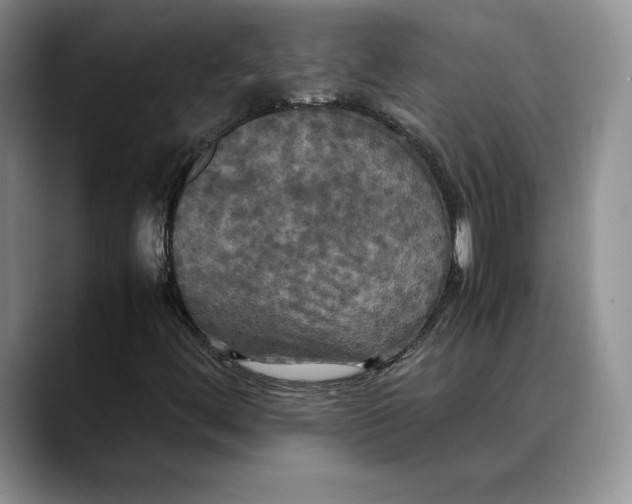 X0000088481444200706121522