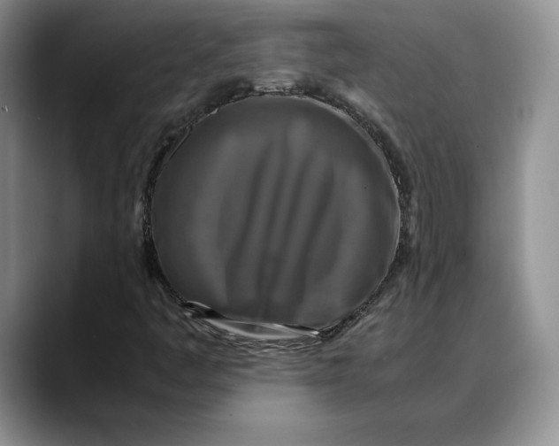 X0000088481445200706121522