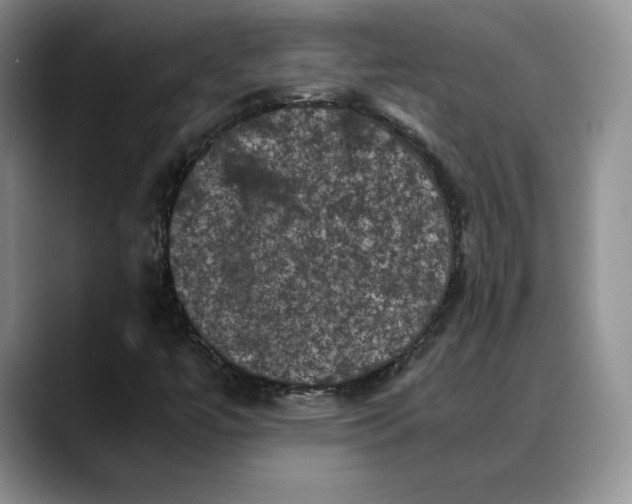 X0000088481447200706121522