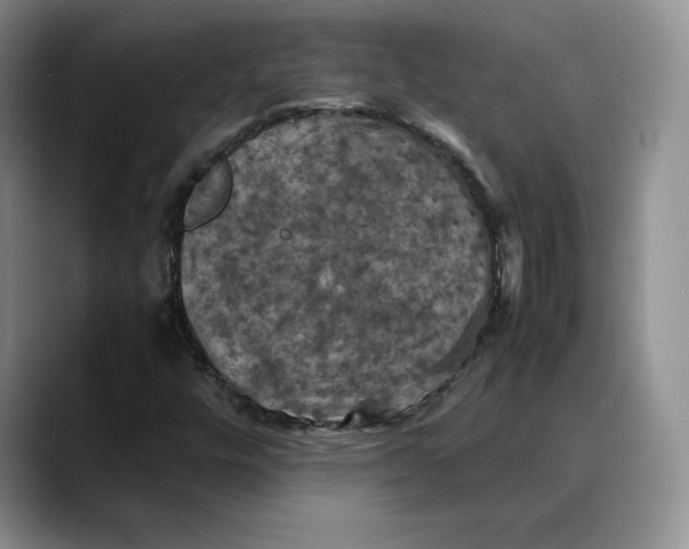 X0000088481448200706121522
