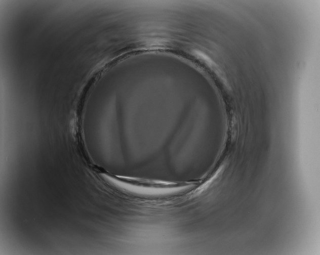 X0000088481449200706121522