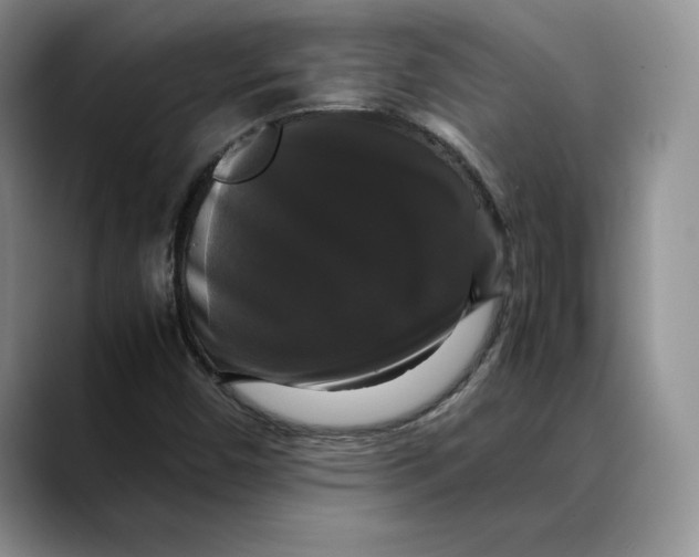 X0000088481450200706121522