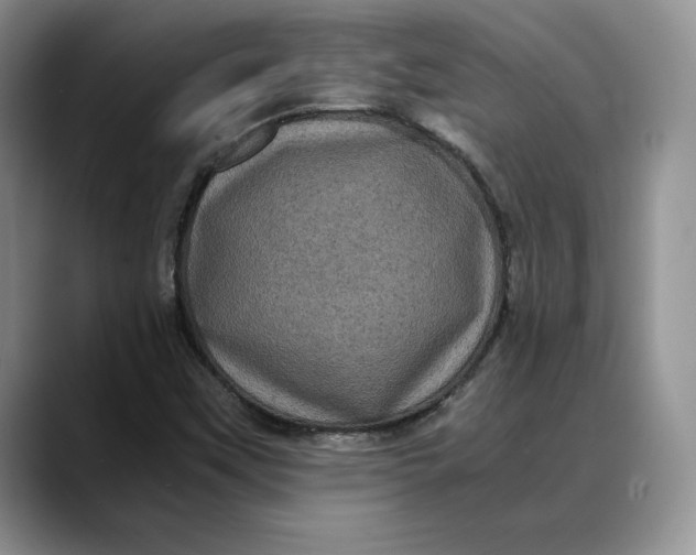 X0000088481451200706121522