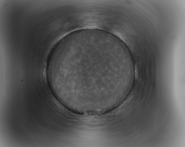 X0000088481452200706121522