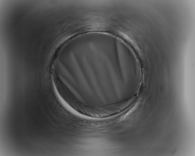 X0000088481453200706121522