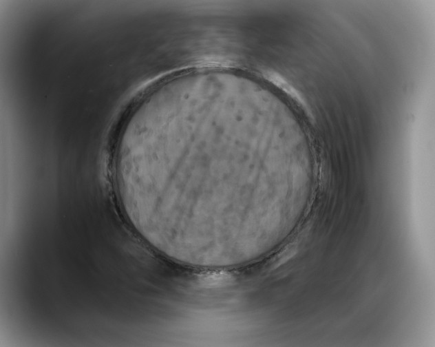 X0000088481454200706121522