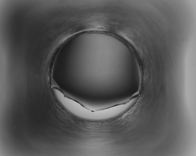 X0000088481455200706121522