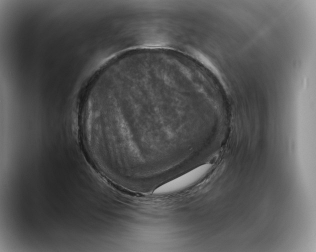 X0000088481456200706121522