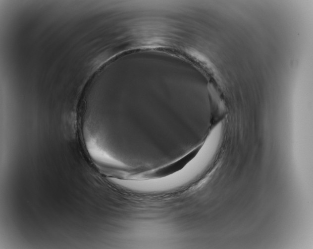 X0000088481457200706121522
