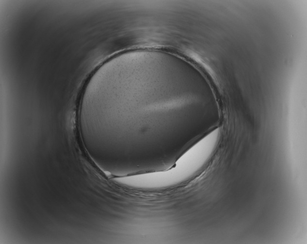 X0000088481459200706121522