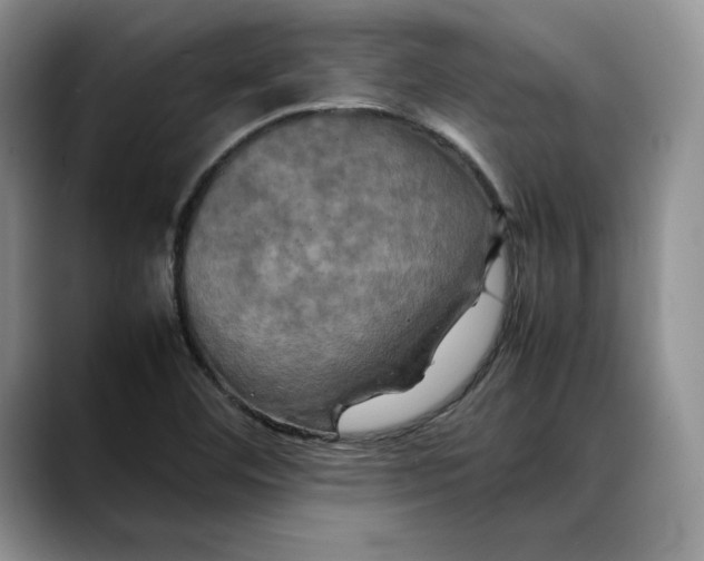 X0000088481460200706121522