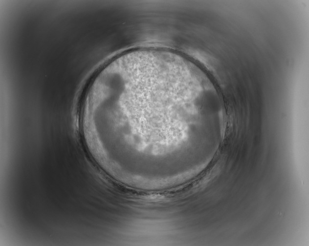 X0000088481462200706121522