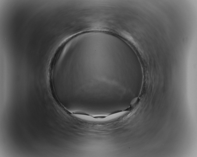 X0000088481463200706121522