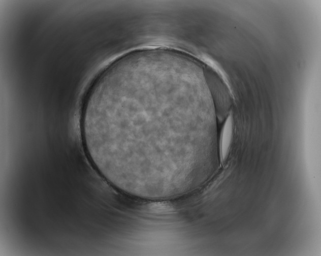 X0000088481464200706121522