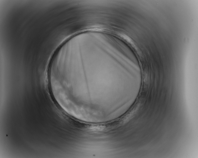 X0000088481466200706121522