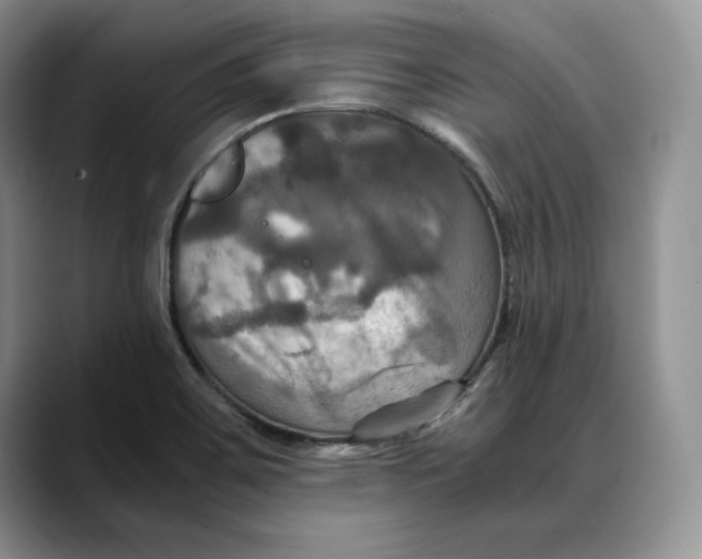 X0000088481467200706121522