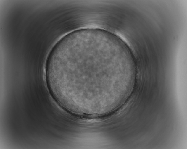 X0000088481468200706121522