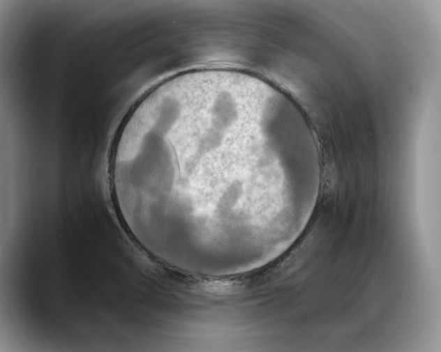 X0000088481470200706121522