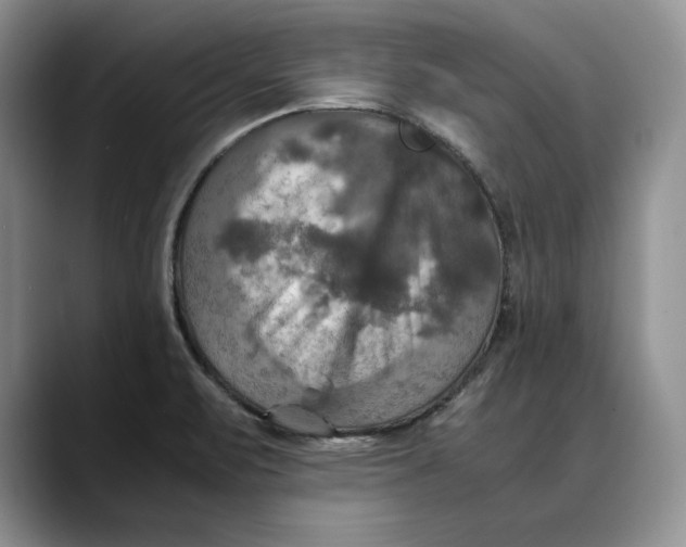 X0000088481471200706121522