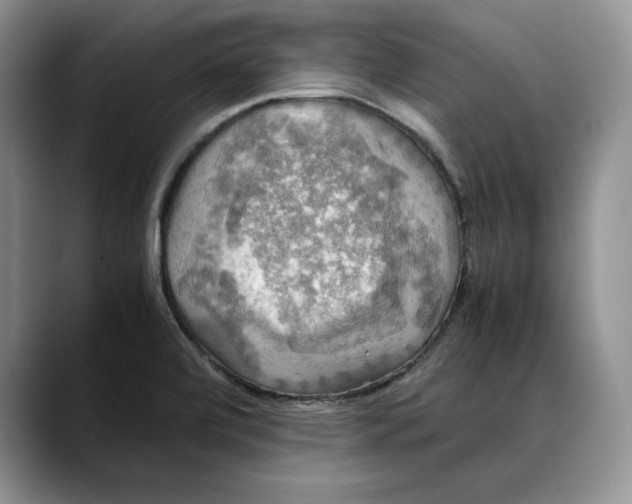 X0000088481472200706121522