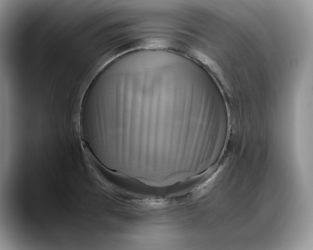 X0000088481473200706121522
