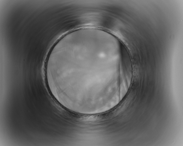 X0000088481474200706121522