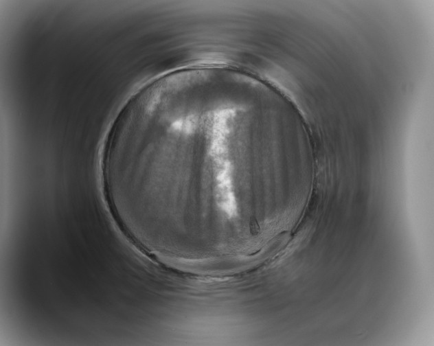 X0000088481475200706121522