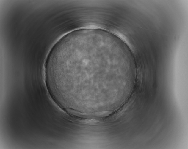 X0000088481476200706121522