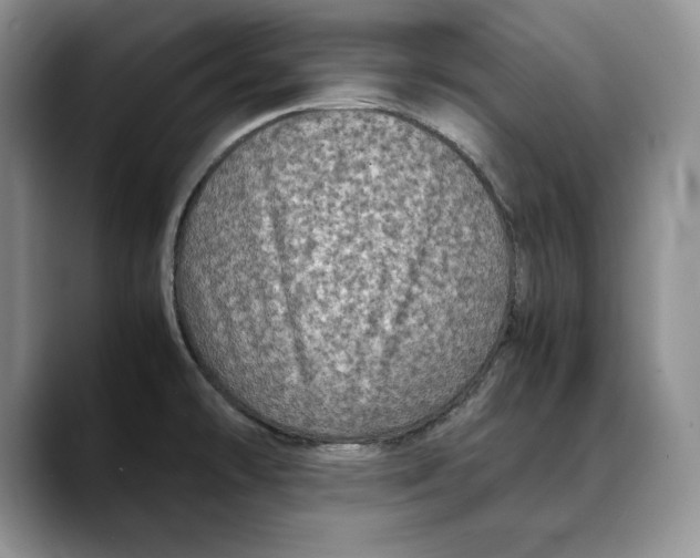 X0000088481478200706121522