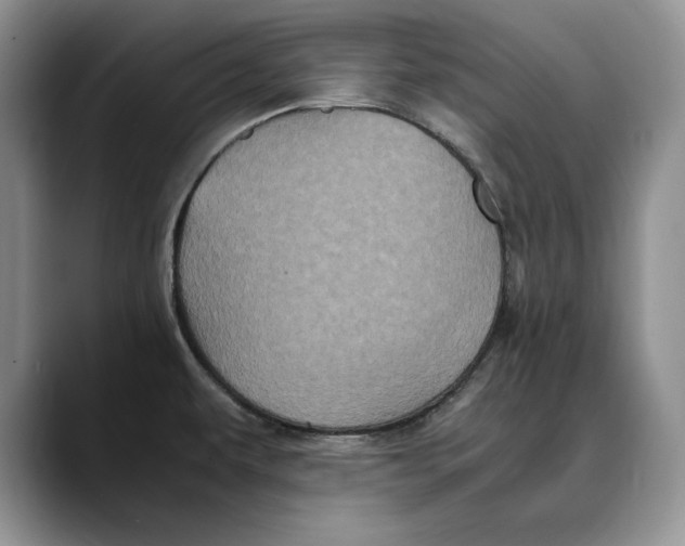 X0000088481479200706121522