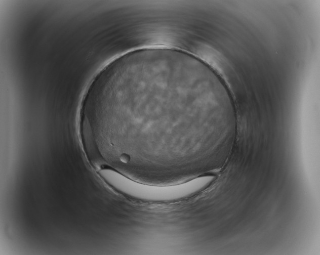 X0000088481480200706121522