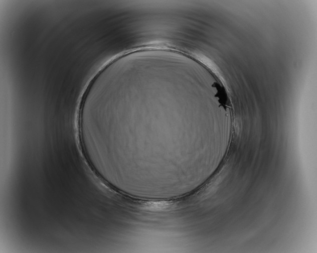 X0000088481482200706121522