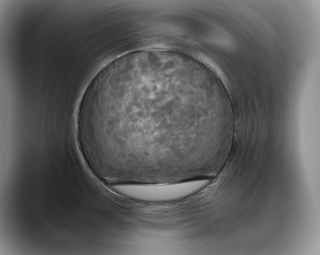 X0000088481483200706121522