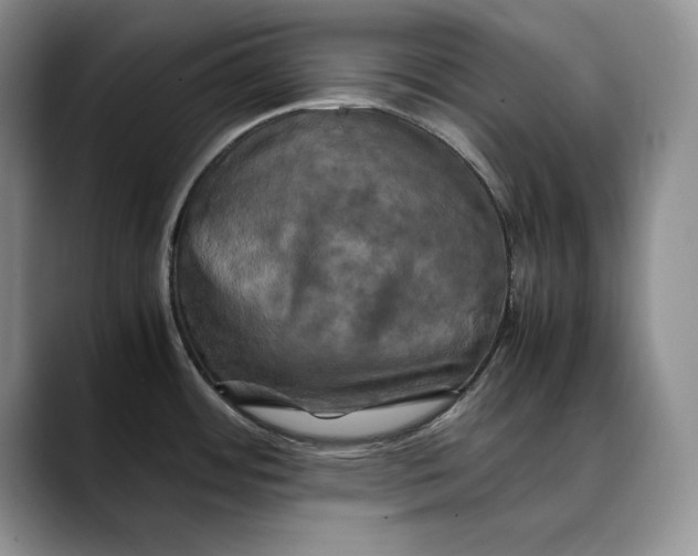 X0000088481484200706121522