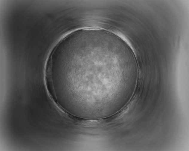 X0000088481485200706121522
