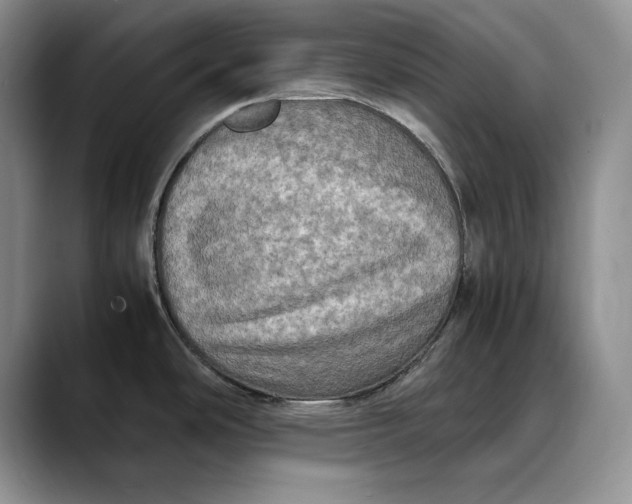 X0000088481486200706121522