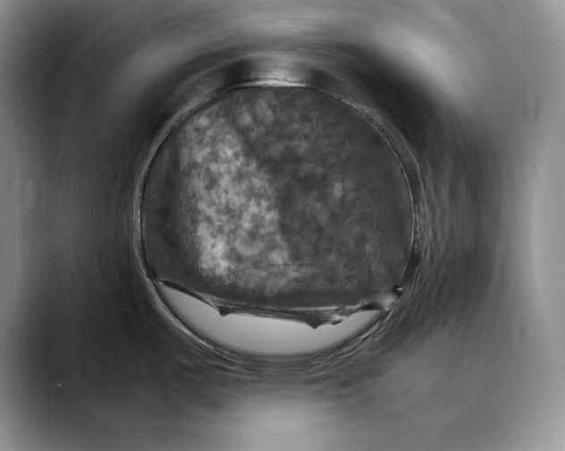 X0000088481487200706121522