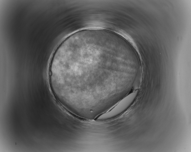 X0000088481488200706121522