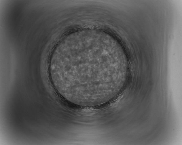 X0000088481489200706121521