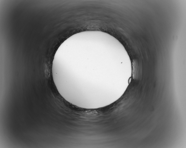 X0000088481491200706121521
