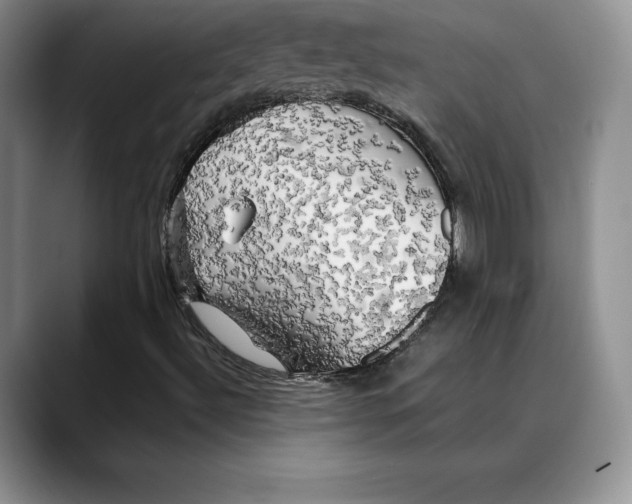 X0000088481492200706121521