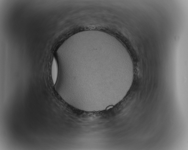 X0000088481493200706121521
