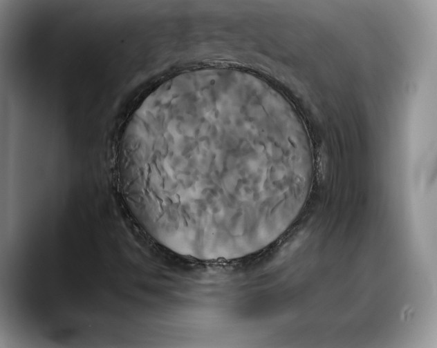 X0000088481494200706121521