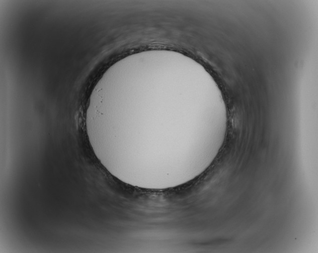 X0000088481495200706121521