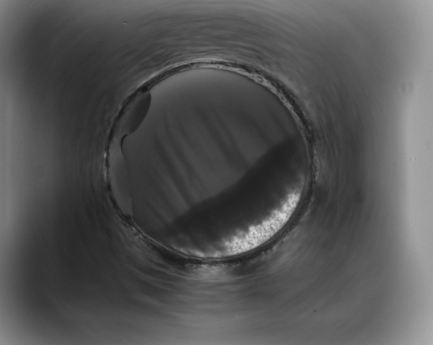 X0000088481497200706121521