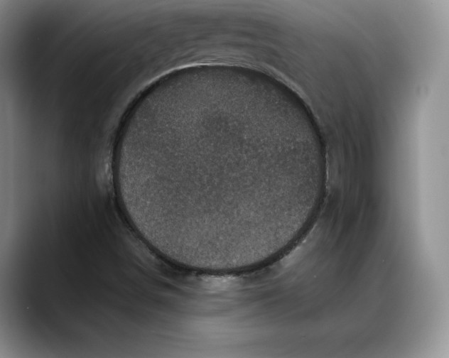 X0000088481498200706121521