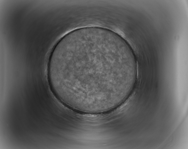 X0000088481500200706121521