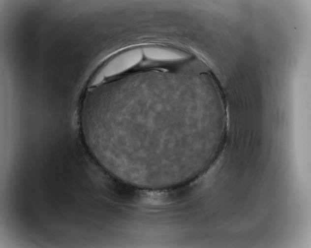 X0000088481501200706121521